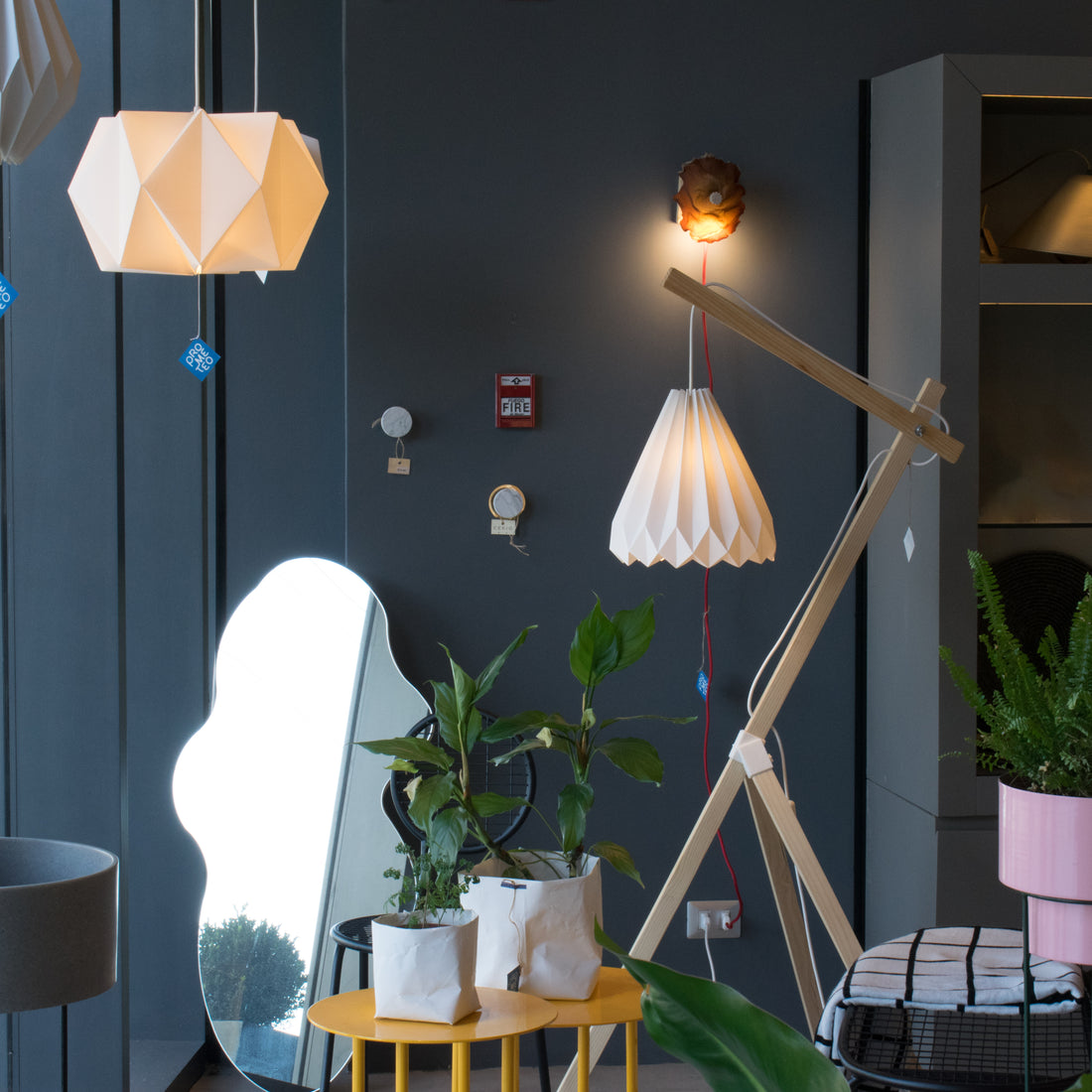 Prometeo Studio en Galería CV