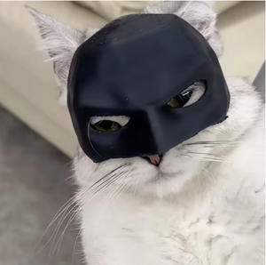 Michi máscara Batman
