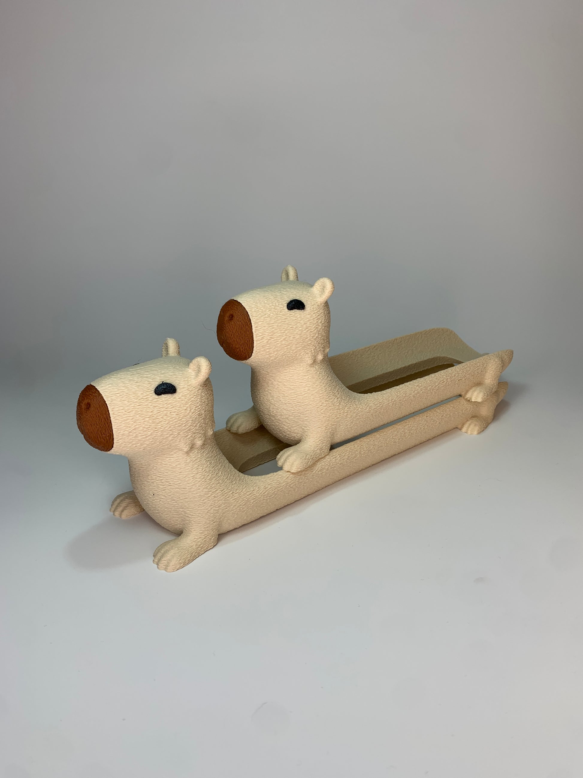 Capybara completero