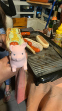Cargar imagen en el visor de la galería, Chanchito completero
