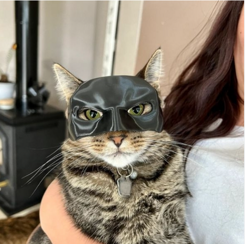 Michi máscara Batman
