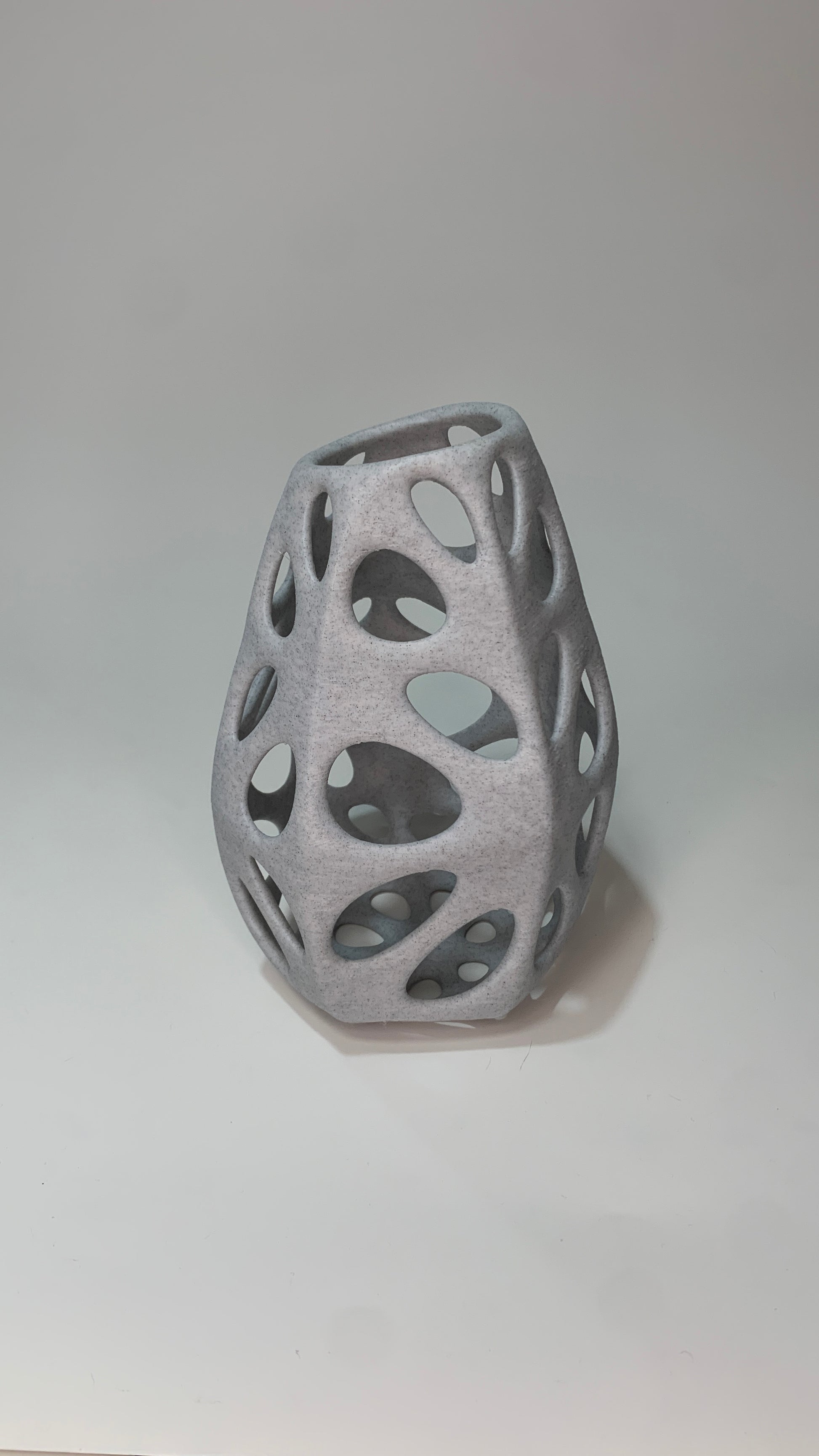 Voronoi ROCA 01
