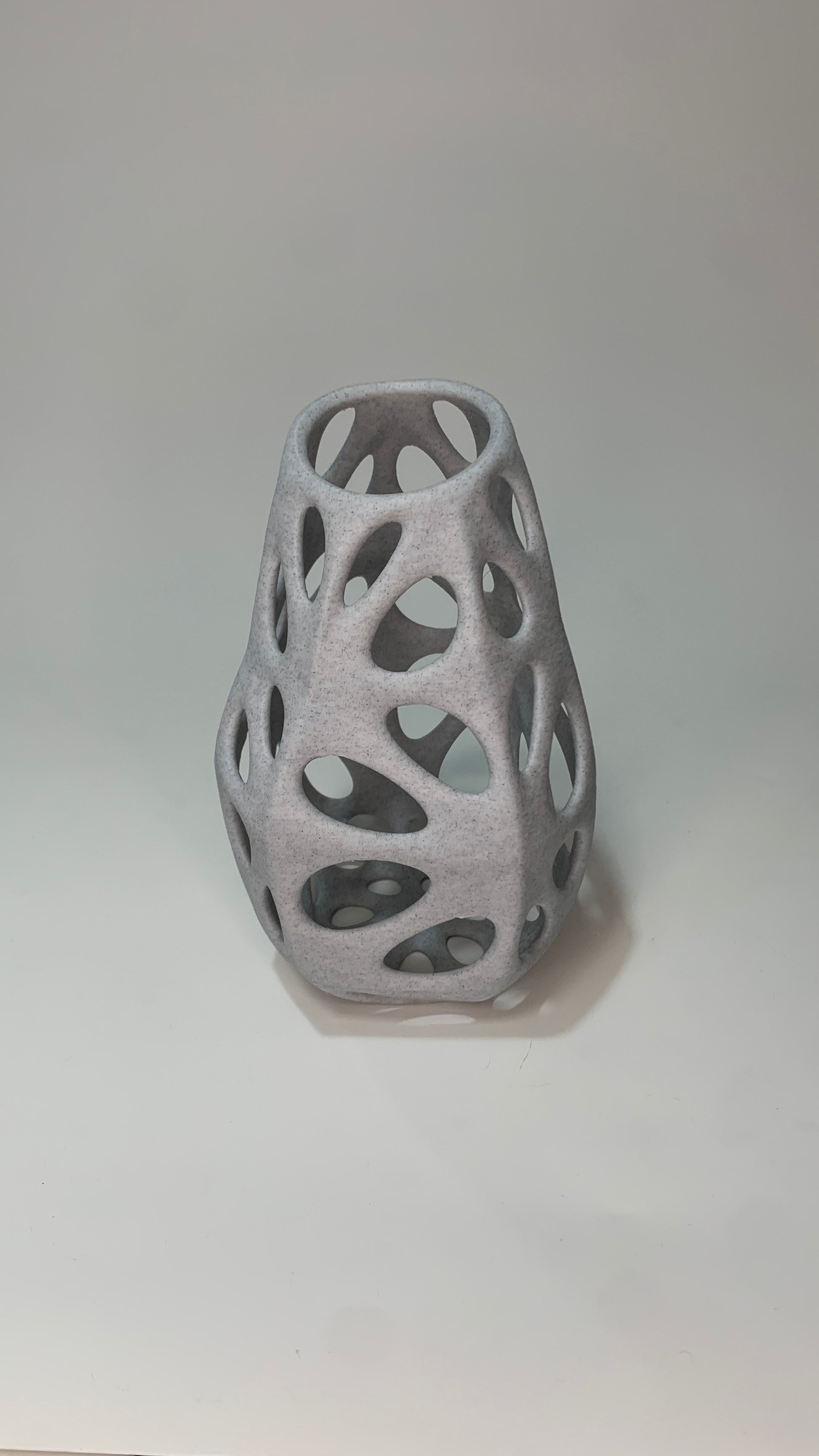Voronoi ROCA 01