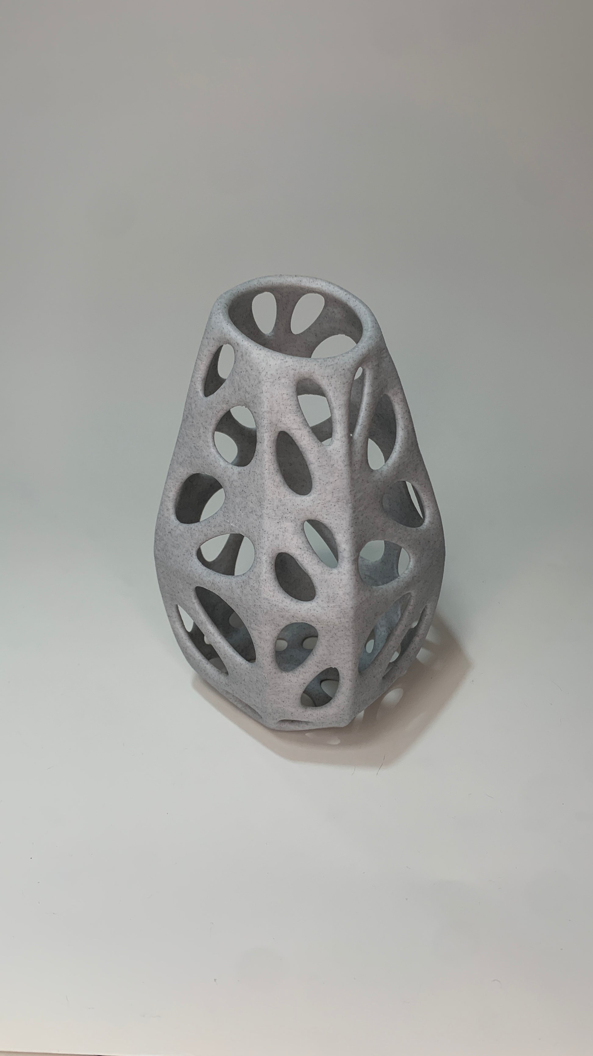 Voronoi ROCA 01