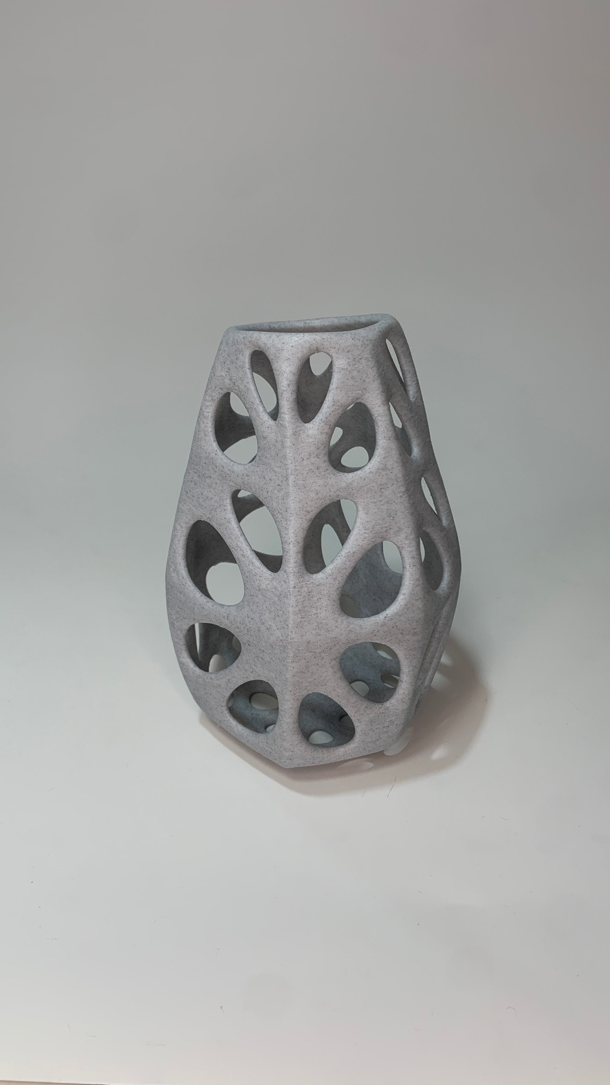 Voronoi ROCA 01
