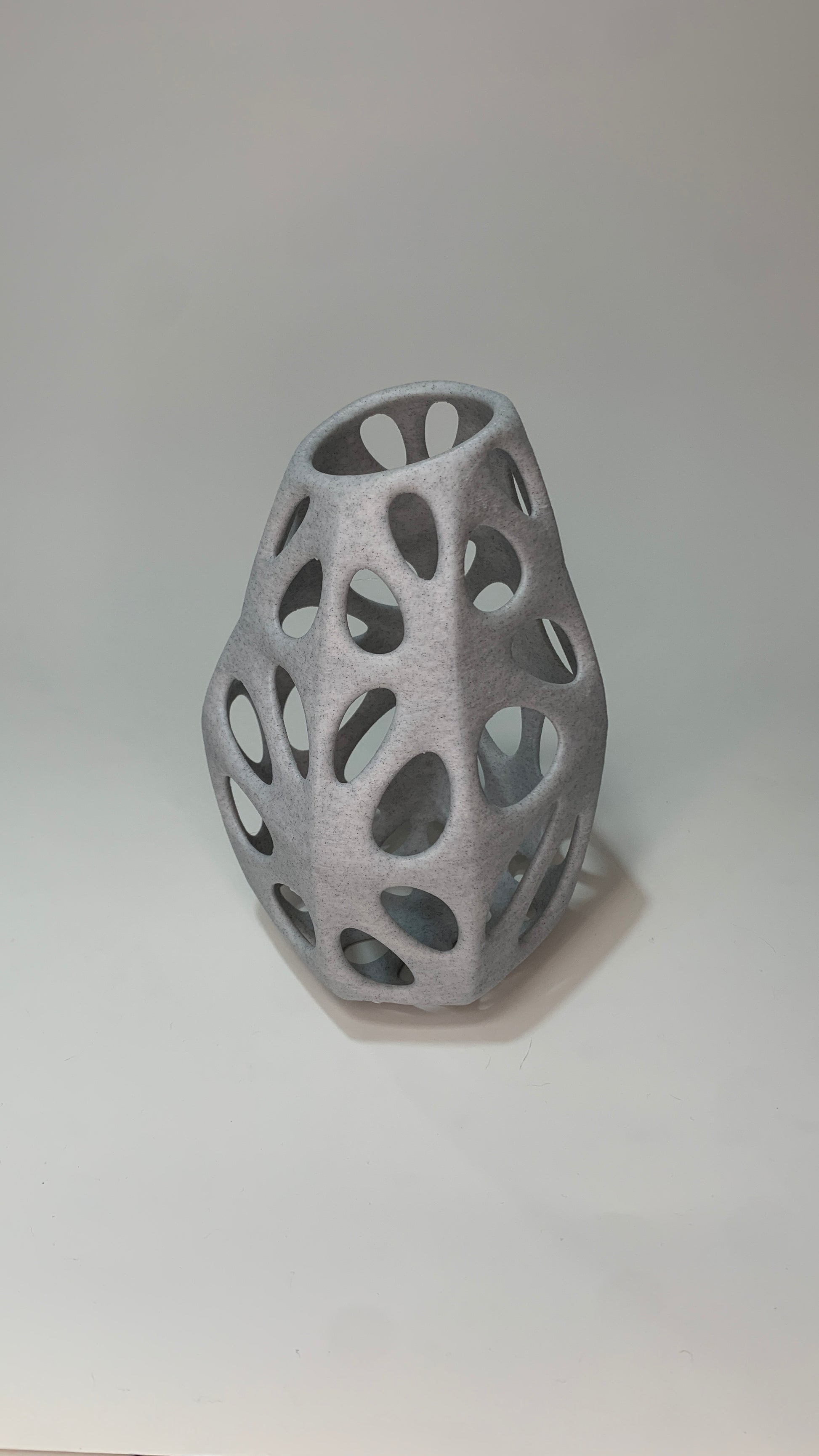 Voronoi ROCA 01