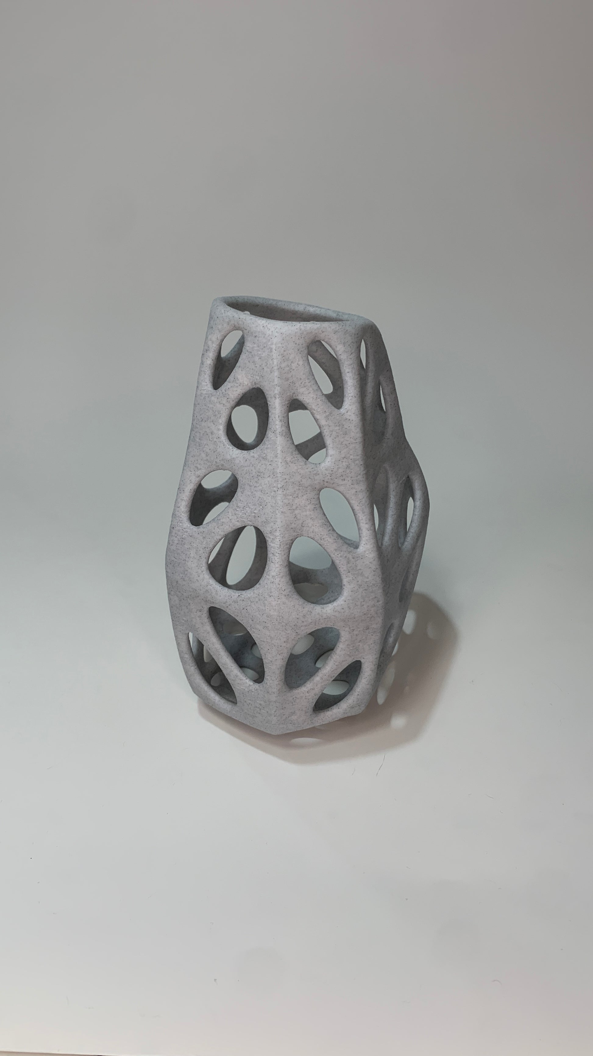 Voronoi ROCA 01