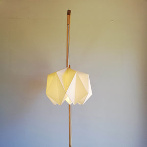 Allium (de pie)